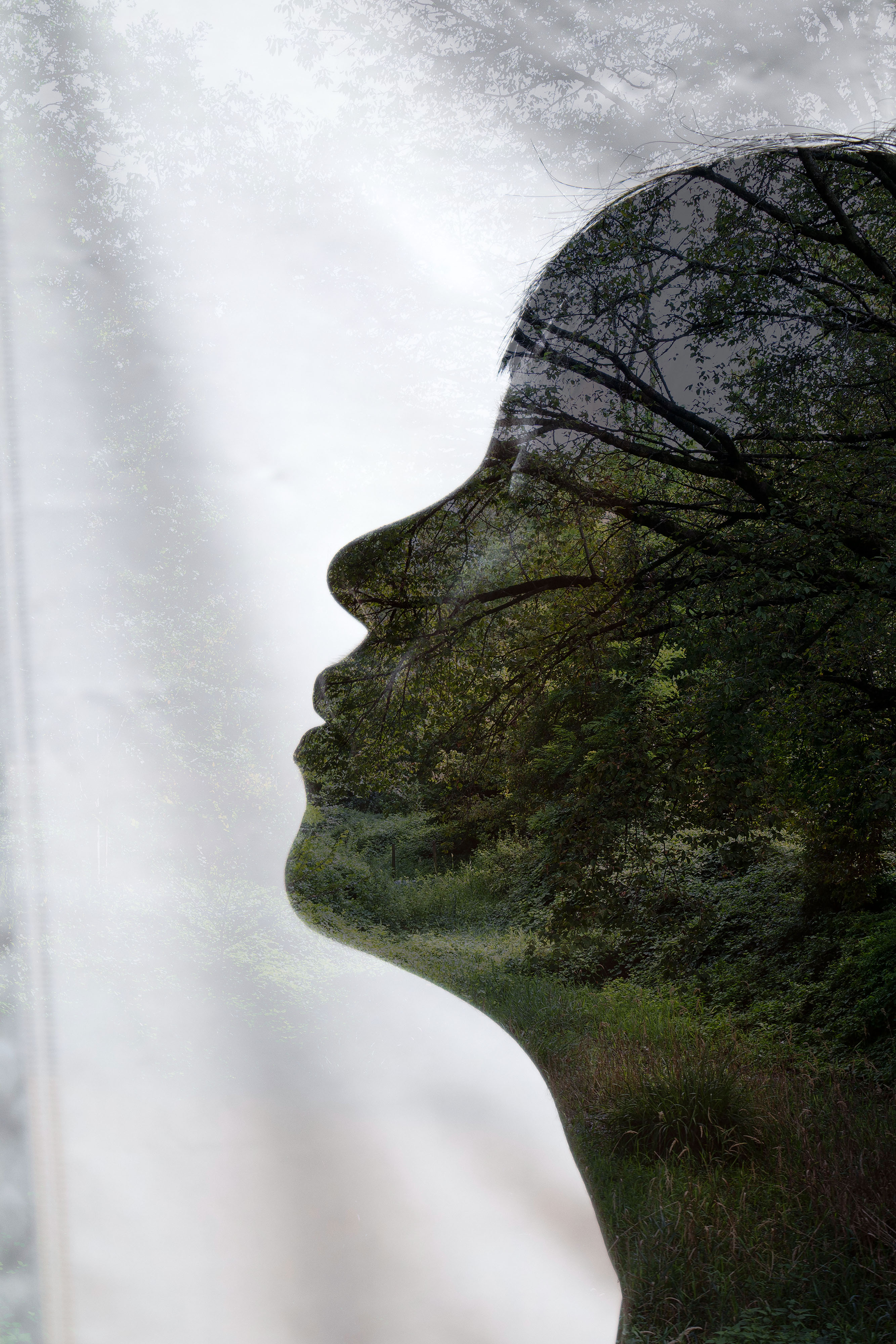 Lavinia Paolini - Myricae