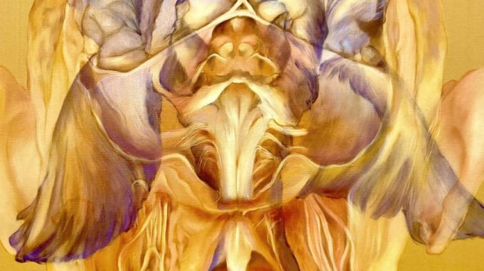 Innesti Ibrida - Monia Strada