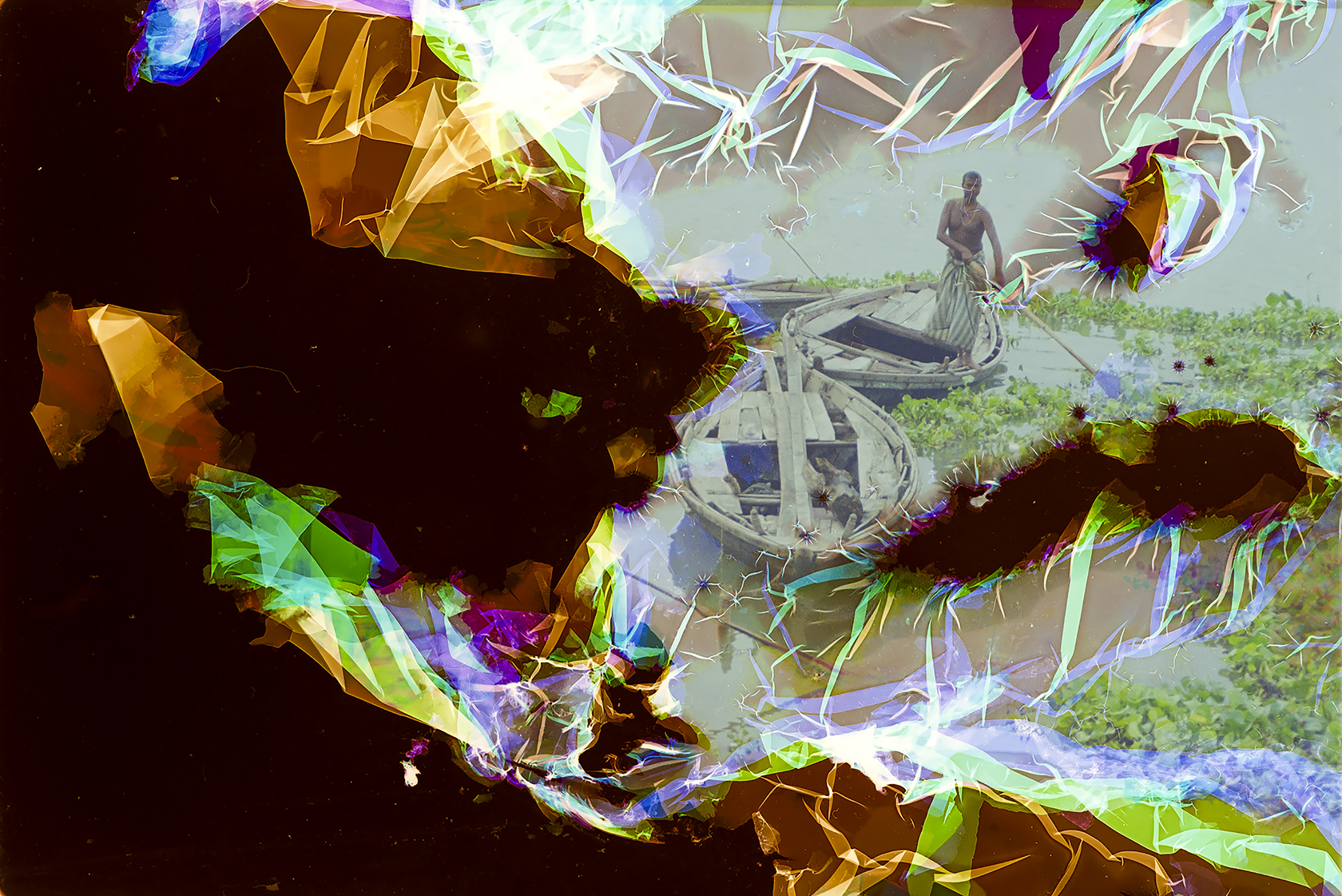 dal Fango Nascono i Fiori - Michela Mariani