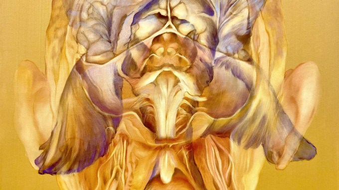 Innesti Ibrida - Monia Strada